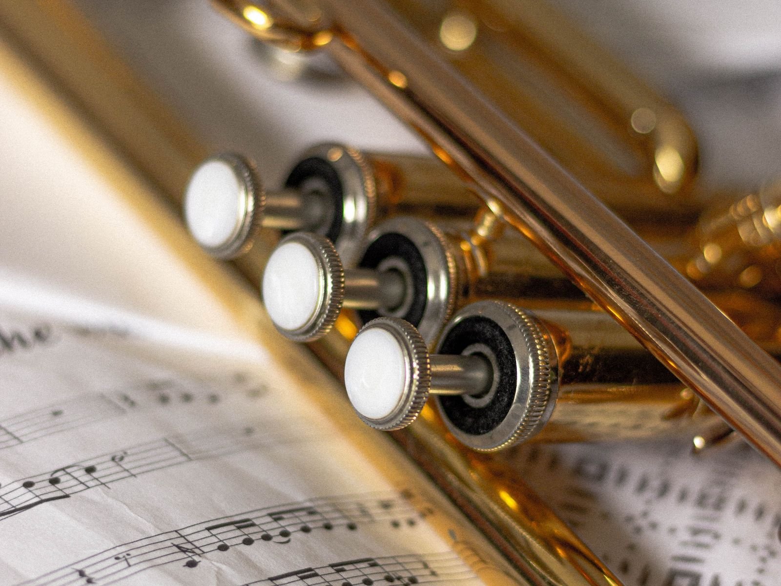 Read more about the article Почему сольфеджио представляет трудности в изучении музыки